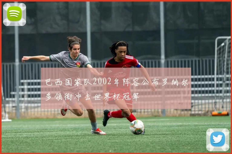 巴西国家队2002年阵容公布罗纳尔多领衔冲击世界杯冠军