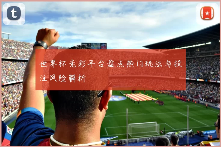 世界杯竞彩平台盘点热门玩法与投注风险解析