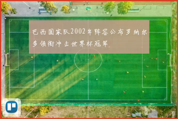 巴西国家队2002年阵容公布罗纳尔多领衔冲击世界杯冠军